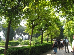 Palatine Hill - Farnese Garden