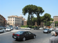 Piazza Venezia1
