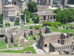 Roman Forum - view from Palatine Hill