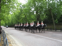 0456_Horse Guards